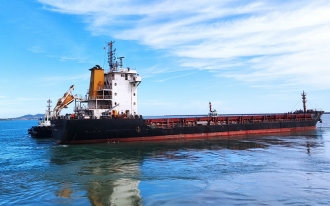 散杂货船运输 Bulk Cargo Shippi
